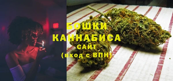 ECSTASY Богородицк